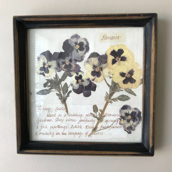 Pansy Print in Distressed Square Wooden Frame